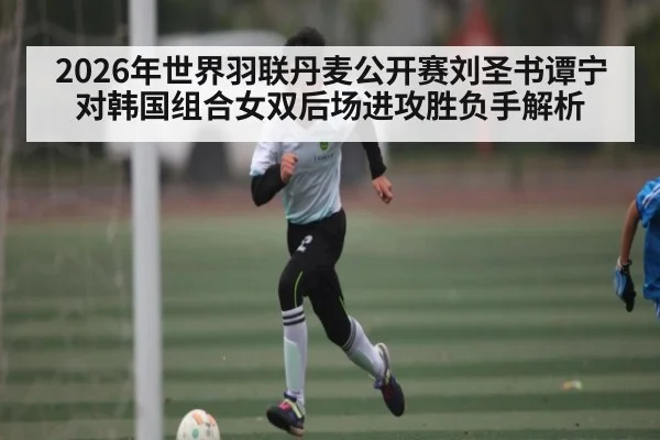 2026年世界羽联丹麦公开赛刘圣书谭宁对韩国组合女双后场进攻胜负手解析 | kaiyunapp
